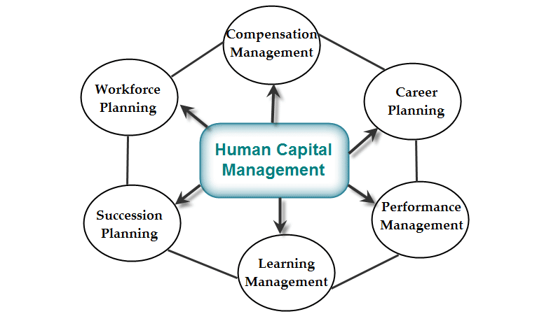 Human Capital Management System HCMS Importance