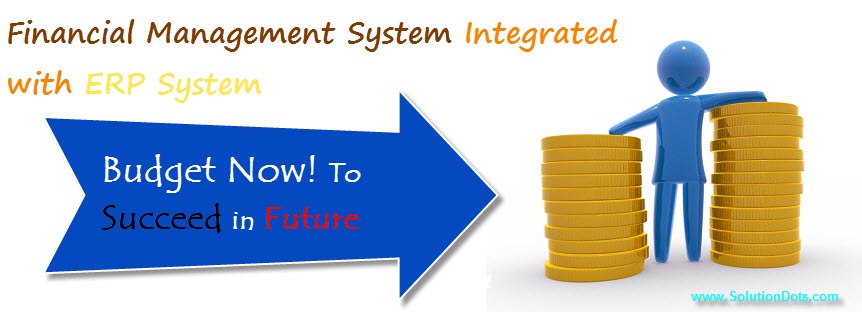 Financial Management ERP System