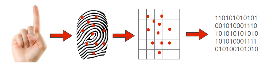 How Biometric Attendance System Works