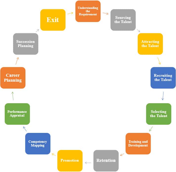 Talent Management Org Chart