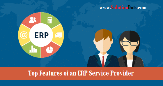 ERP Service Provider