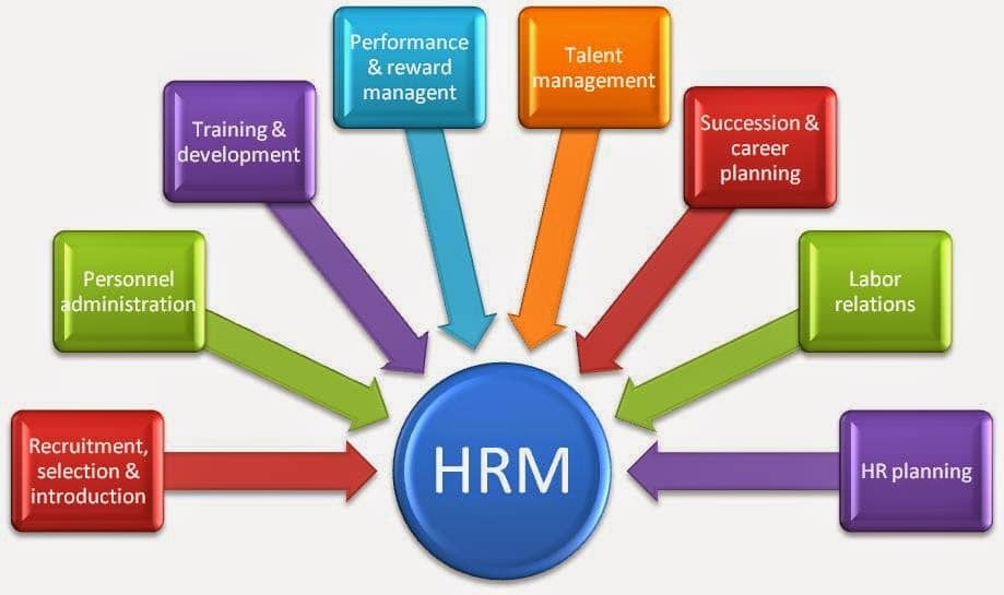 how-human-resource-management-software-works