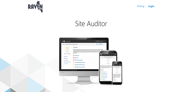 site-auditor