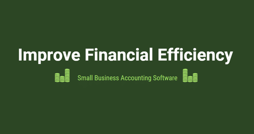 Small Business Accounting Software-feature