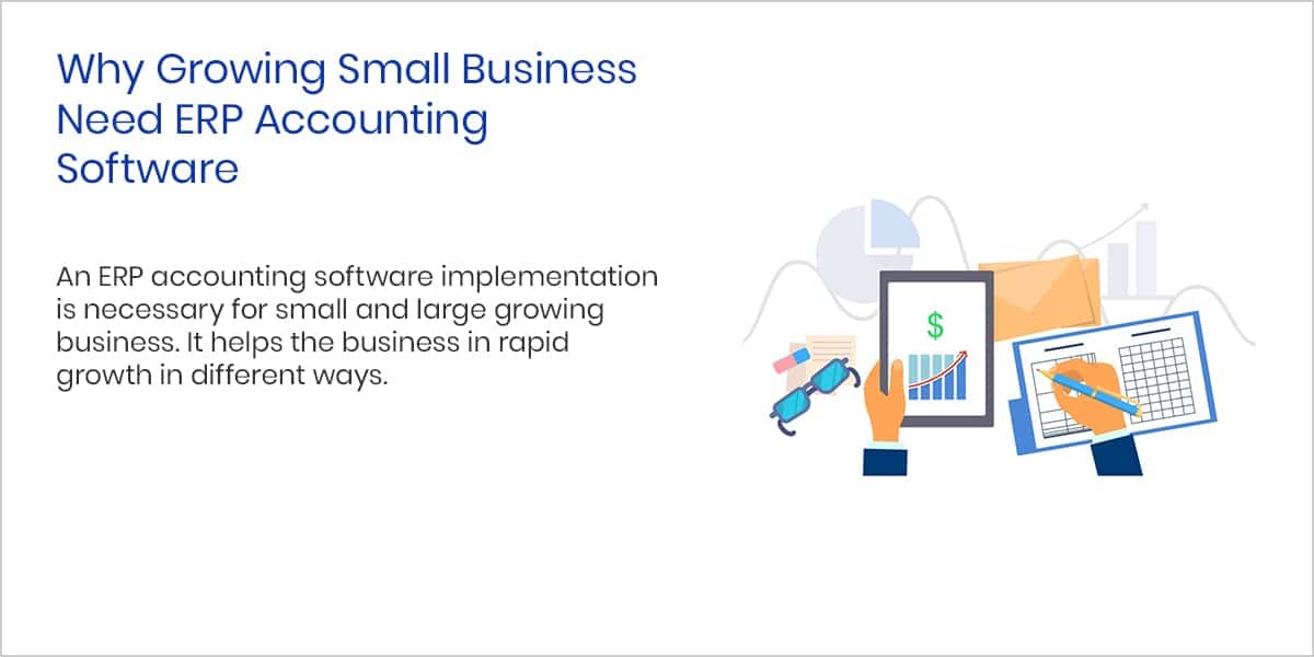 Why Growing Small Business Need ERP Accounting Software?