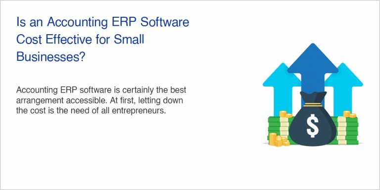 Is an Accounting ERP Software Cost Effective Businesses?