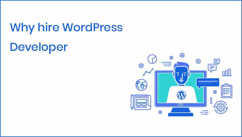 WordPress Developer